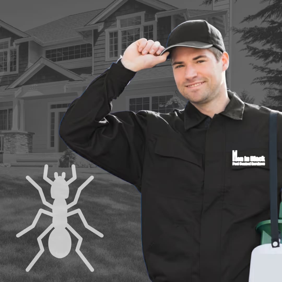 Ant Technician