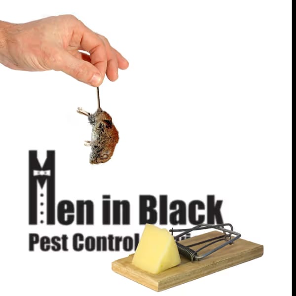 Mouse Control Services Near Me